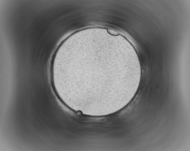 X0000113261143200910221034