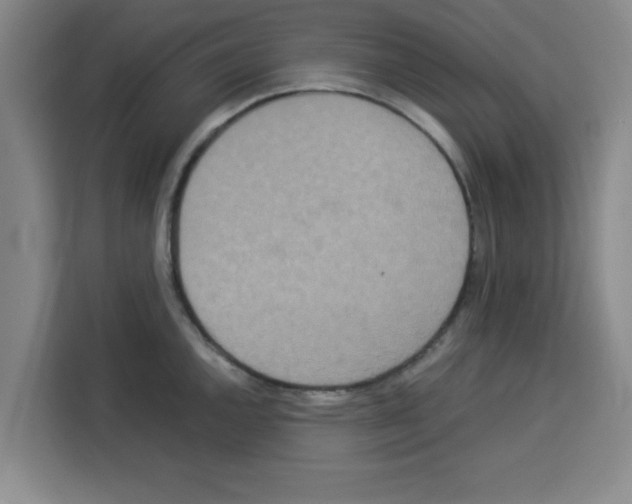 X0000113261144200910221034