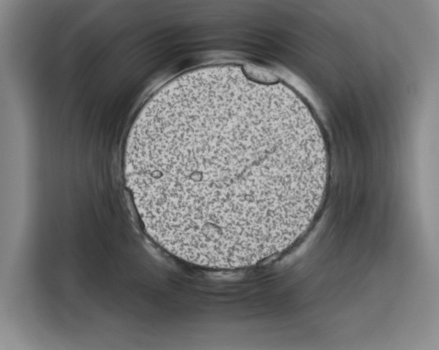 X0000113261145200910221034