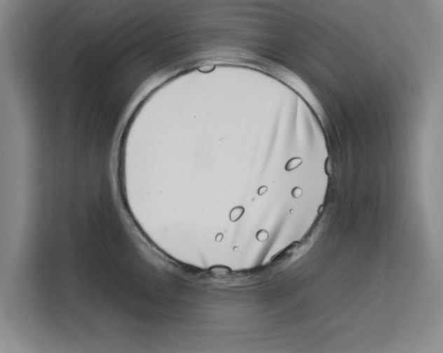 X0000113261146200910221034