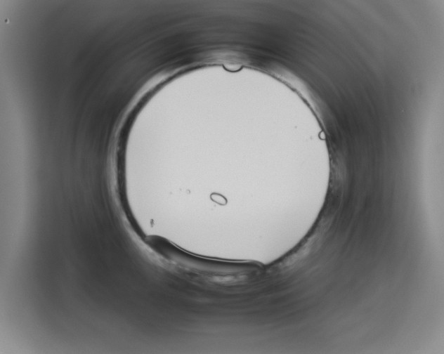 X0000113261147200910221034