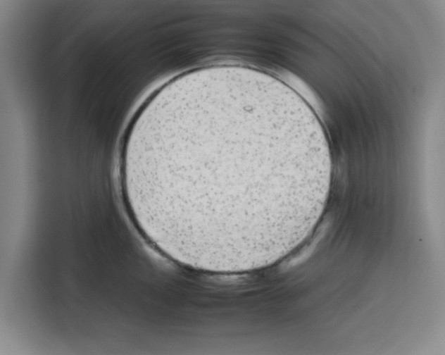 X0000113261149200910221034