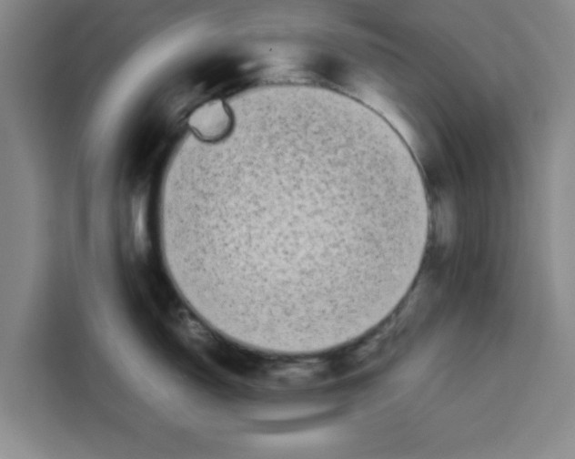 X0000113261150200910221034