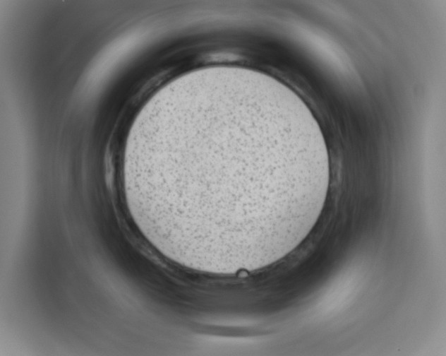 X0000113261151200910221034