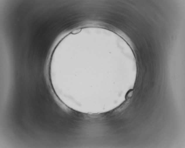 X0000113261152200910221034