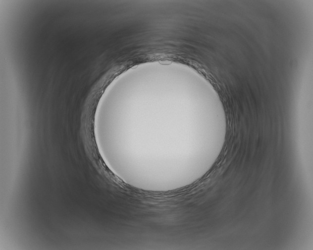 X0000113261153200910221033