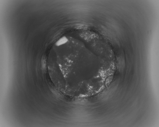 X0000113261154200910221033