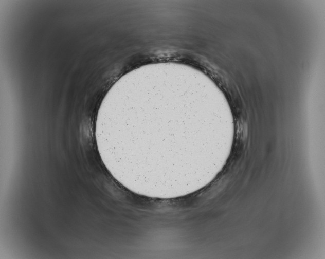 X0000113261155200910221033