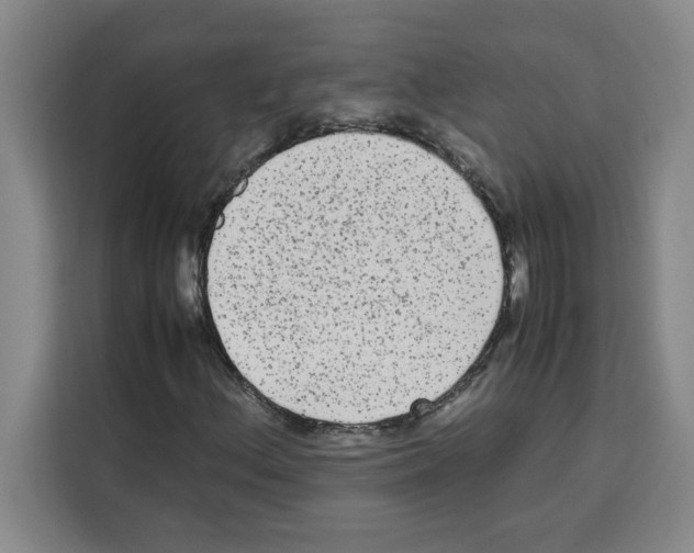 X0000113261156200910221033