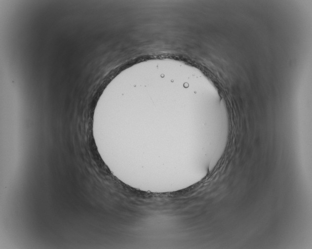 X0000113261157200910221033