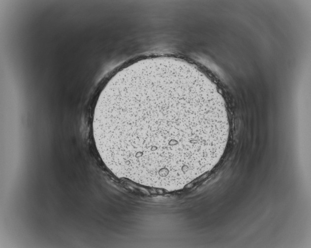 X0000113261160200910221033