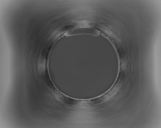 X0000113261161200910221033