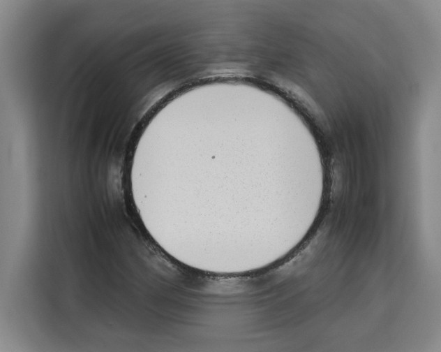 X0000113261162200910221033