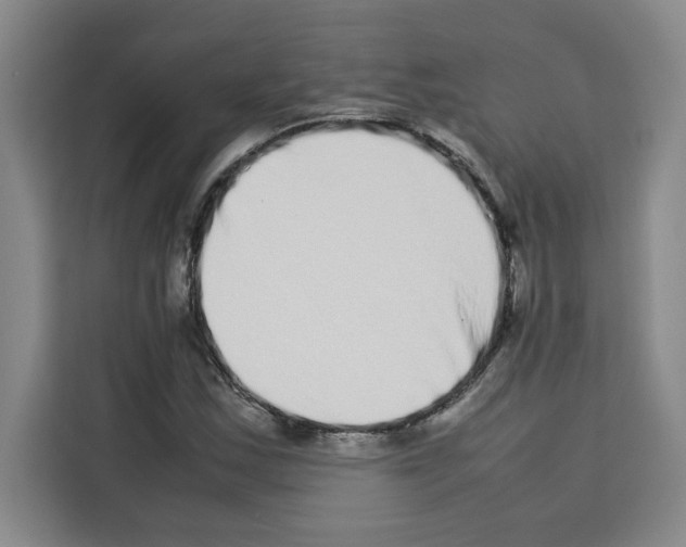 X0000113261163200910221033