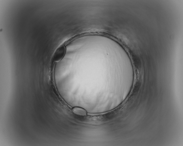 X0000113261165200910221033