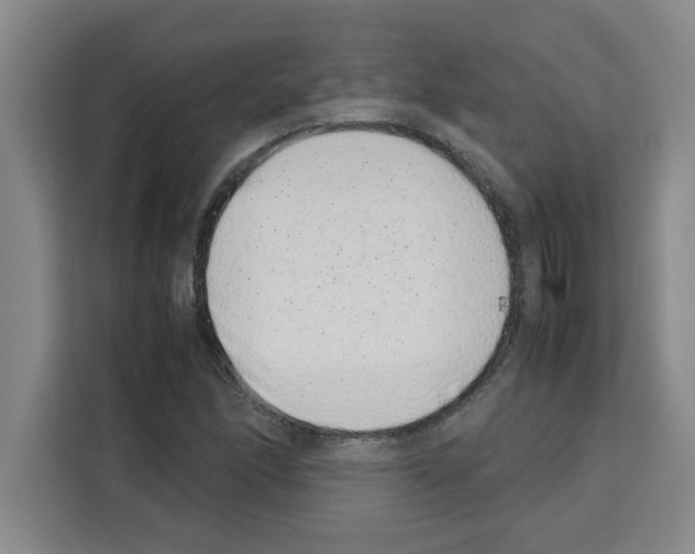 X0000113261166200910221033