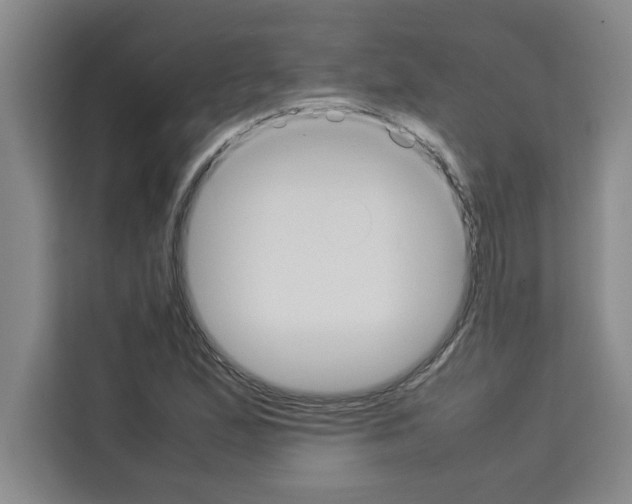X0000113261167200910221033