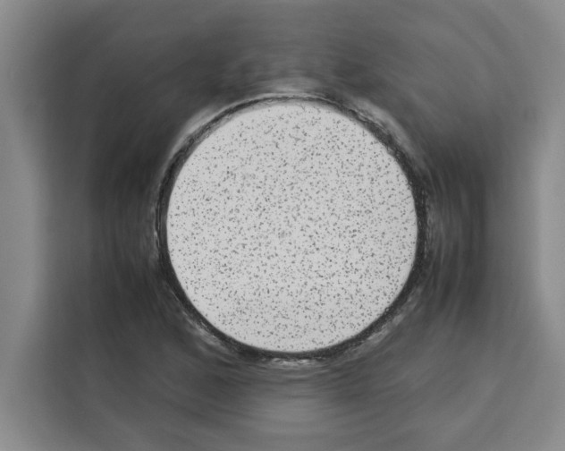 X0000113261168200910221033