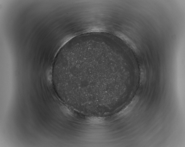 X0000113261170200910221033