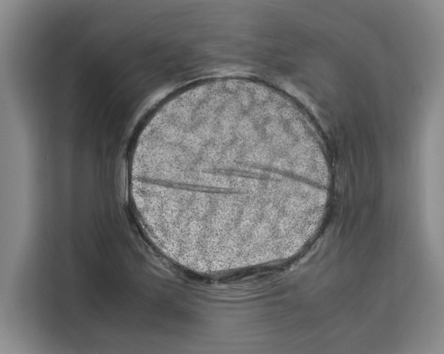 X0000113261171200910221033
