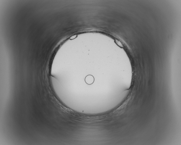 X0000113261173200910221033