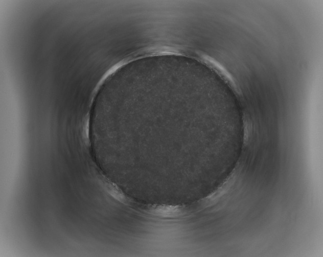 X0000113261174200910221033