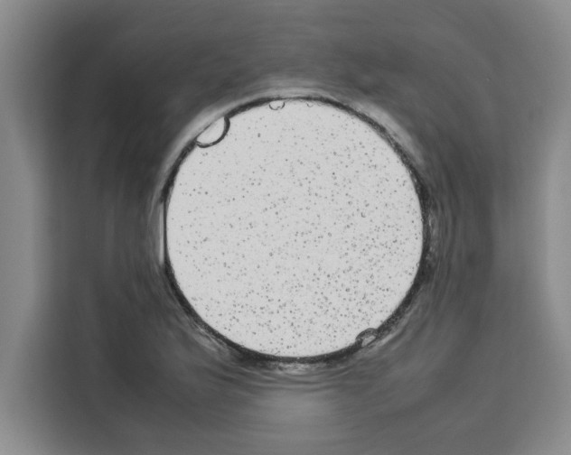 X0000113261175200910221033