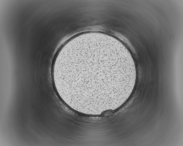 X0000113261176200910221033