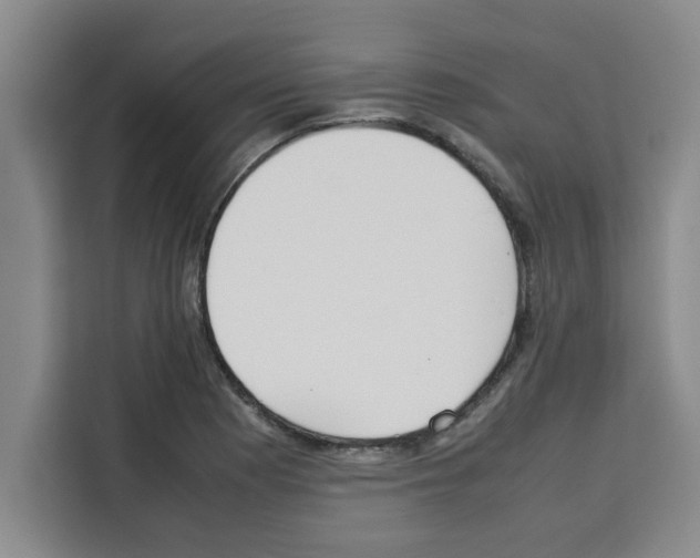 X0000113261177200910221033