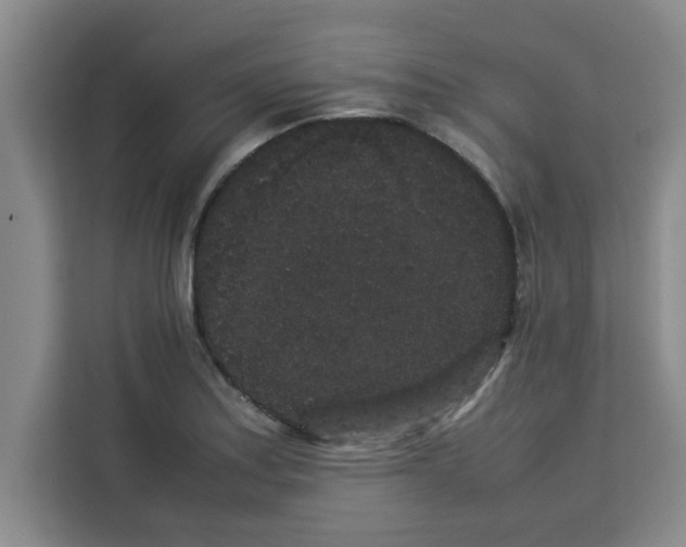 X0000113261179200910221033