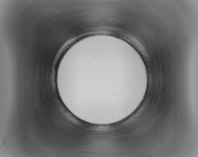 X0000113261180200910221033