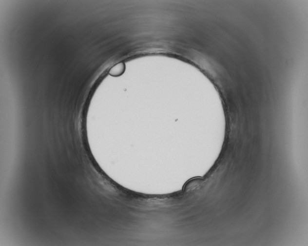 X0000113261181200910221033