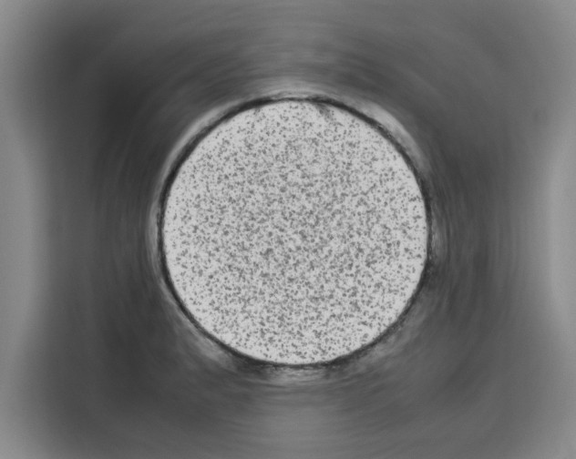 X0000113261183200910221033