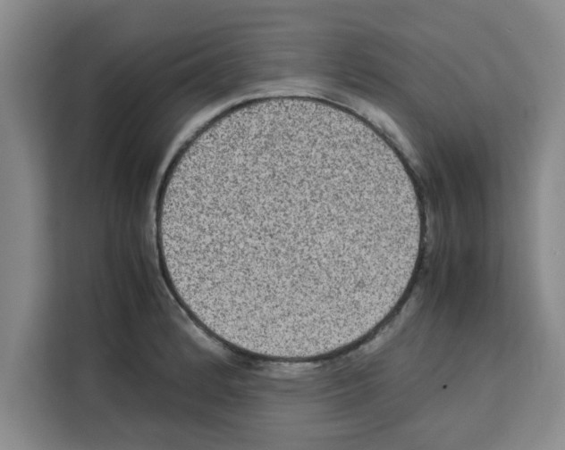X0000113261184200910221033