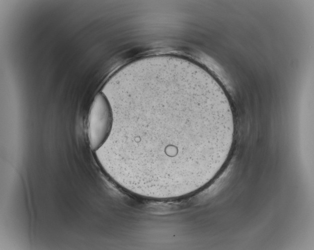 X0000113261185200910221033