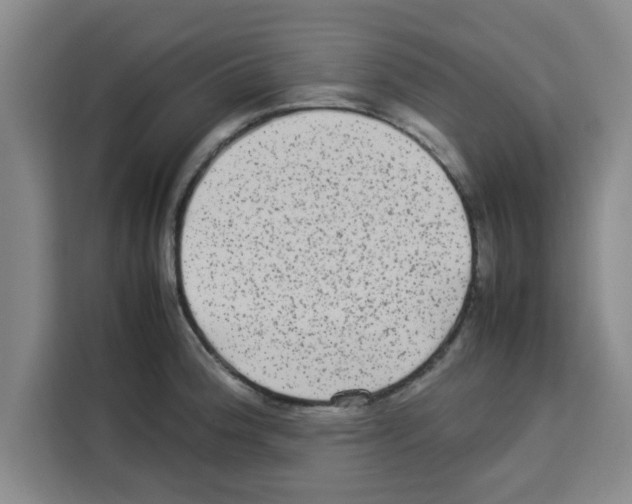 X0000113261188200910221033