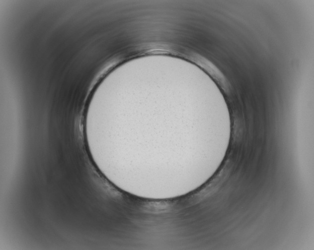 X0000113261190200910221033