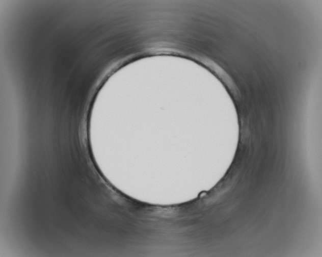 X0000113261191200910221033