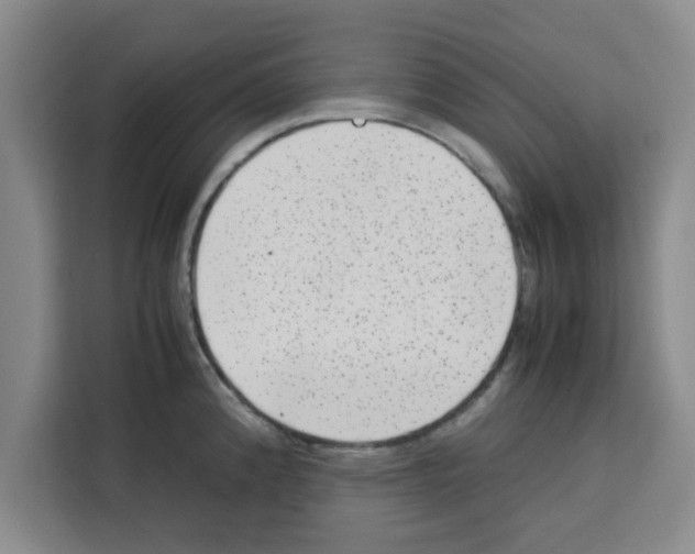X0000113261192200910221033