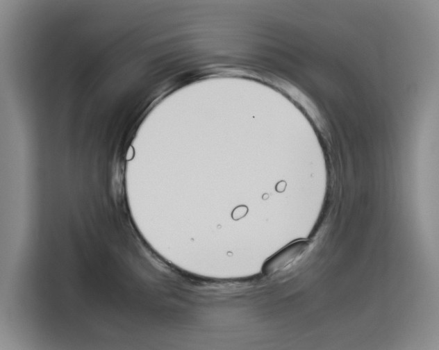 X0000113261193200910221033