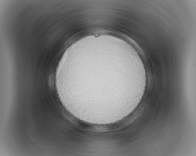 X0000113261194200910221033