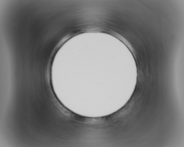 X0000113261195200910221033