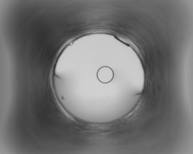 X0000113261197200910221033
