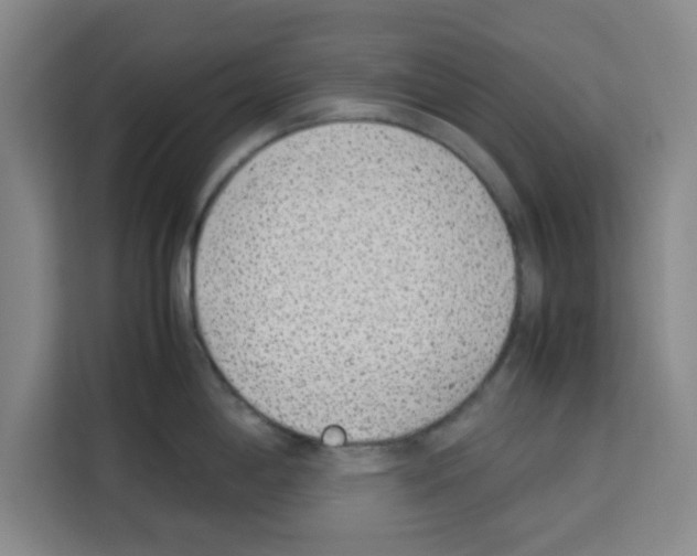 X0000113261198200910221033
