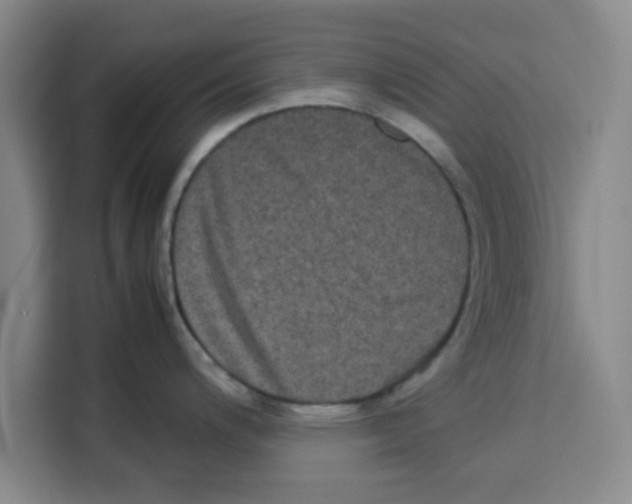 X0000113261200200910221033