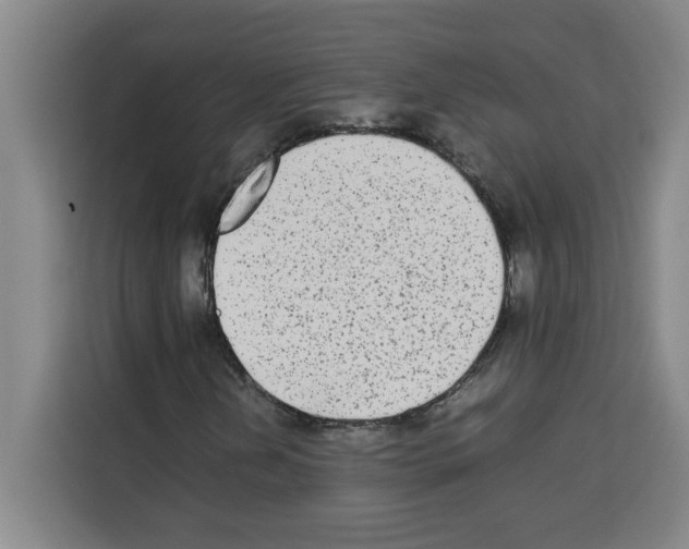 X0000113261202200910221032
