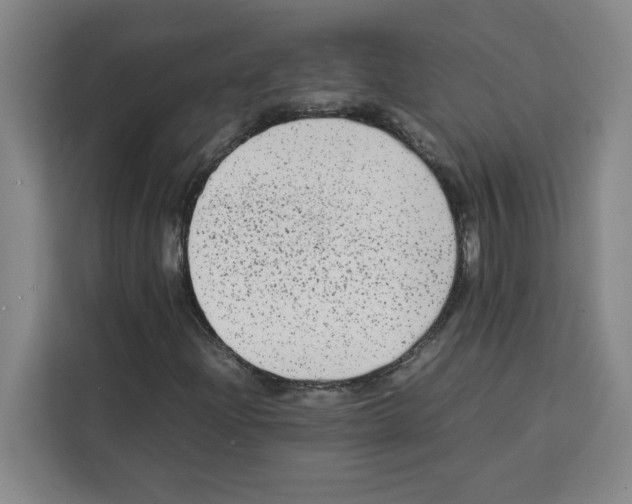 X0000113261204200910221032