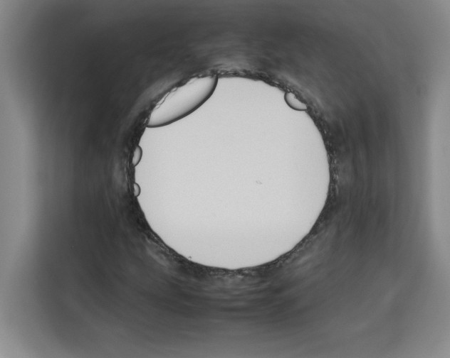 X0000113261207200910221032