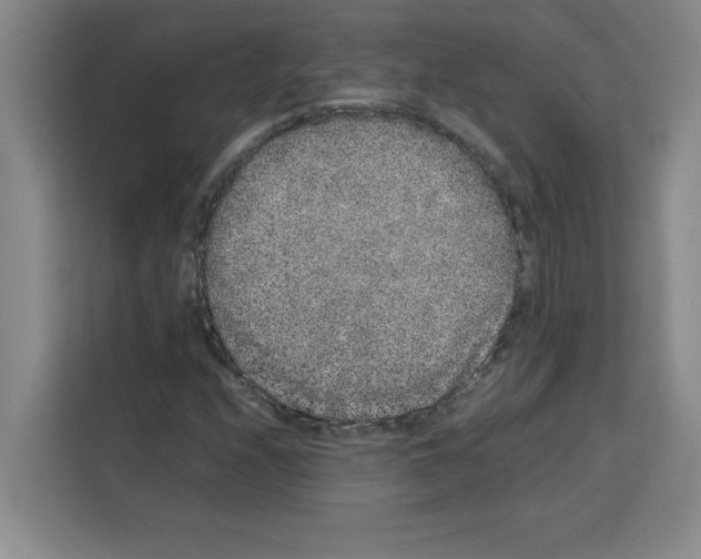 X0000113261208200910221032