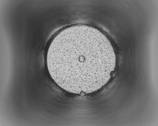 X0000113261214200910221032
